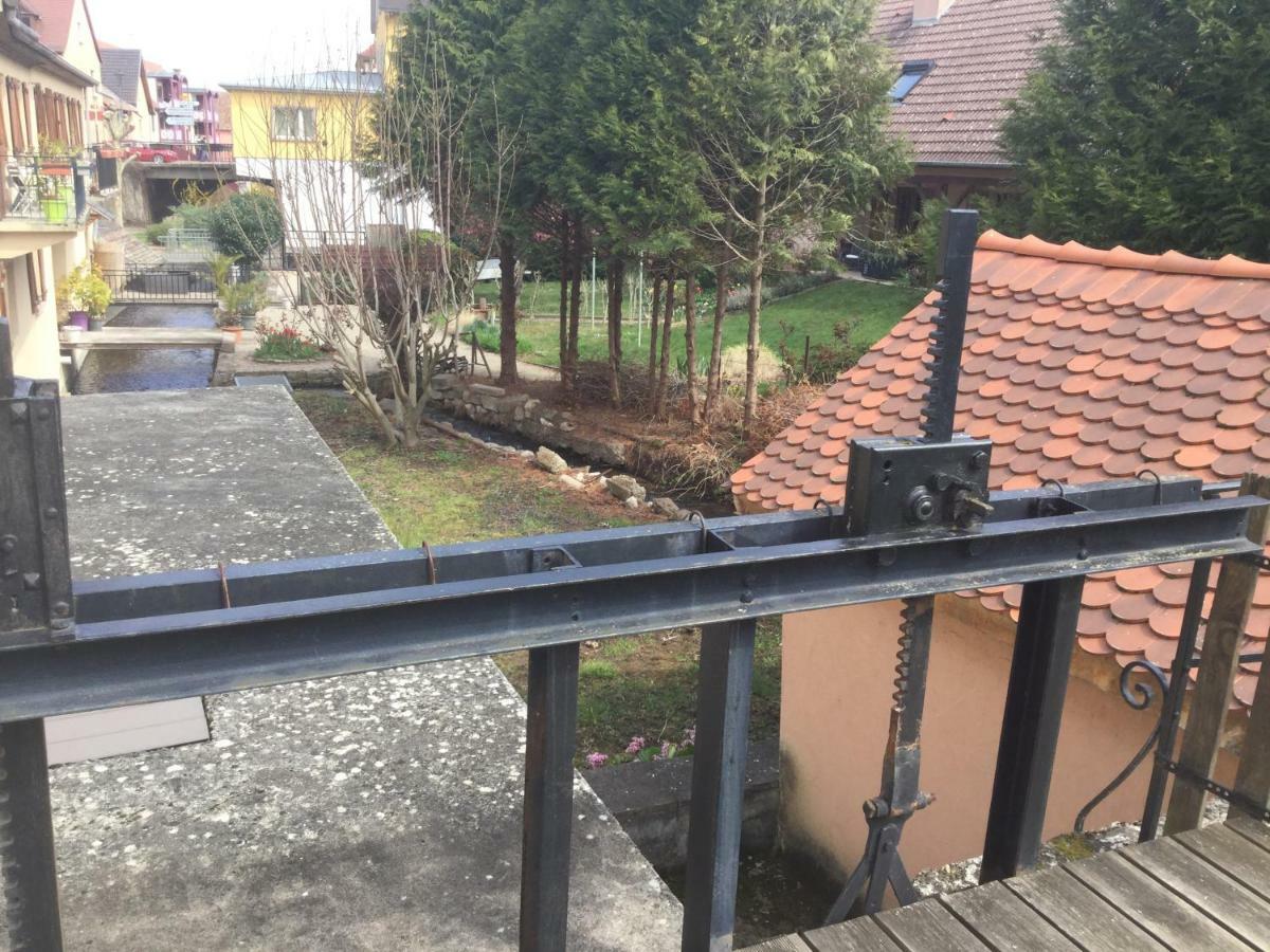 Gite Cote Jardin インガースハイム エクステリア 写真
